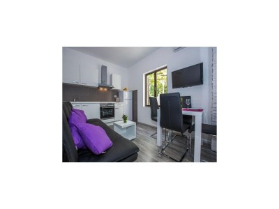 Apartment Villa Roza - One-Bedroom Apartment - Features photo 6