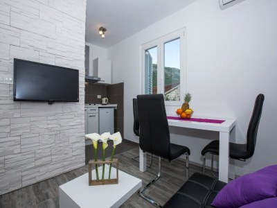 Apartment Villa Roza - One-Bedroom Apartment with Balcony - Features photo 3