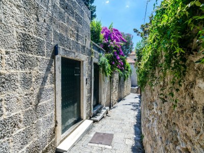 Apartment Apartments Paula - One Bedroom Apartment with Shared Terrace in Dubrovnik - Apartment
