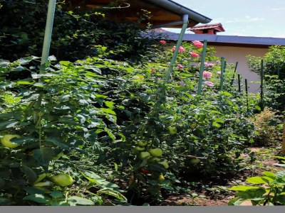 Apartment Apartment Garden M&M - One Bedroom Apartment - Outdoor photo 25