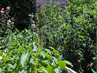 Apartment Apartment Garden M&M - One Bedroom Apartment - Outdoor photo 26