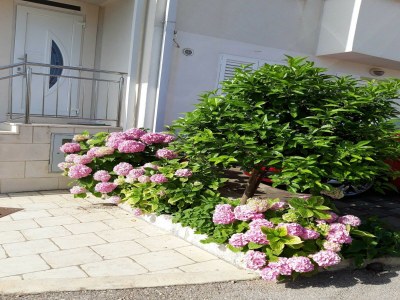 Apartment Apartments Pojko - One-Bedroom Apartment with Terrace (Yellow) in Mokošica - Apartment