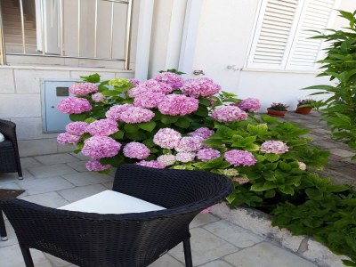 Apartment Apartments Pojko - One-Bedroom Apartment with Terrace (Yellow) - Outdoor photo 3