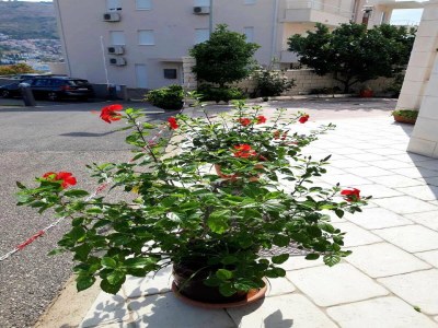 Apartment Apartments Pojko - One-Bedroom Apartment with Terrace (Yellow) - Outdoor photo 26