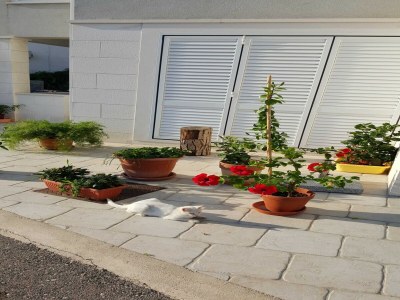 Apartment Apartments Pojko - One-Bedroom Apartment with Terrace (Yellow) - Outdoor photo 27