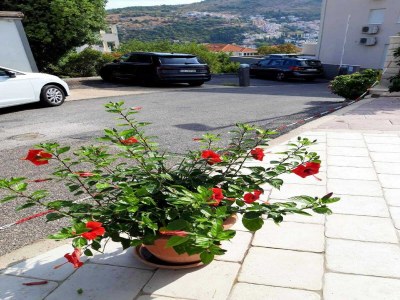 Apartment Apartments Pojko - Standard One-Bedroom Apartment with Terrace (Red) - Outdoor photo 29