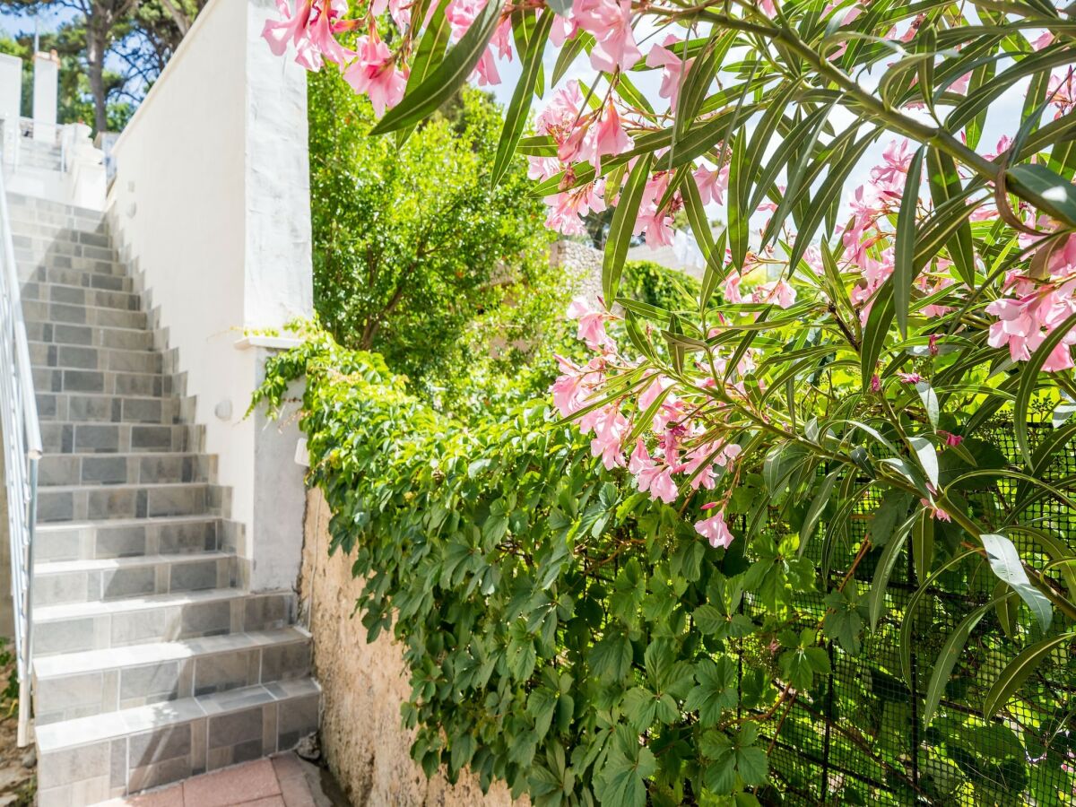 Apartment Apartment Eulalija- One-Bedroom Apartment with Terrace and Sea View - Outdoor photo 2