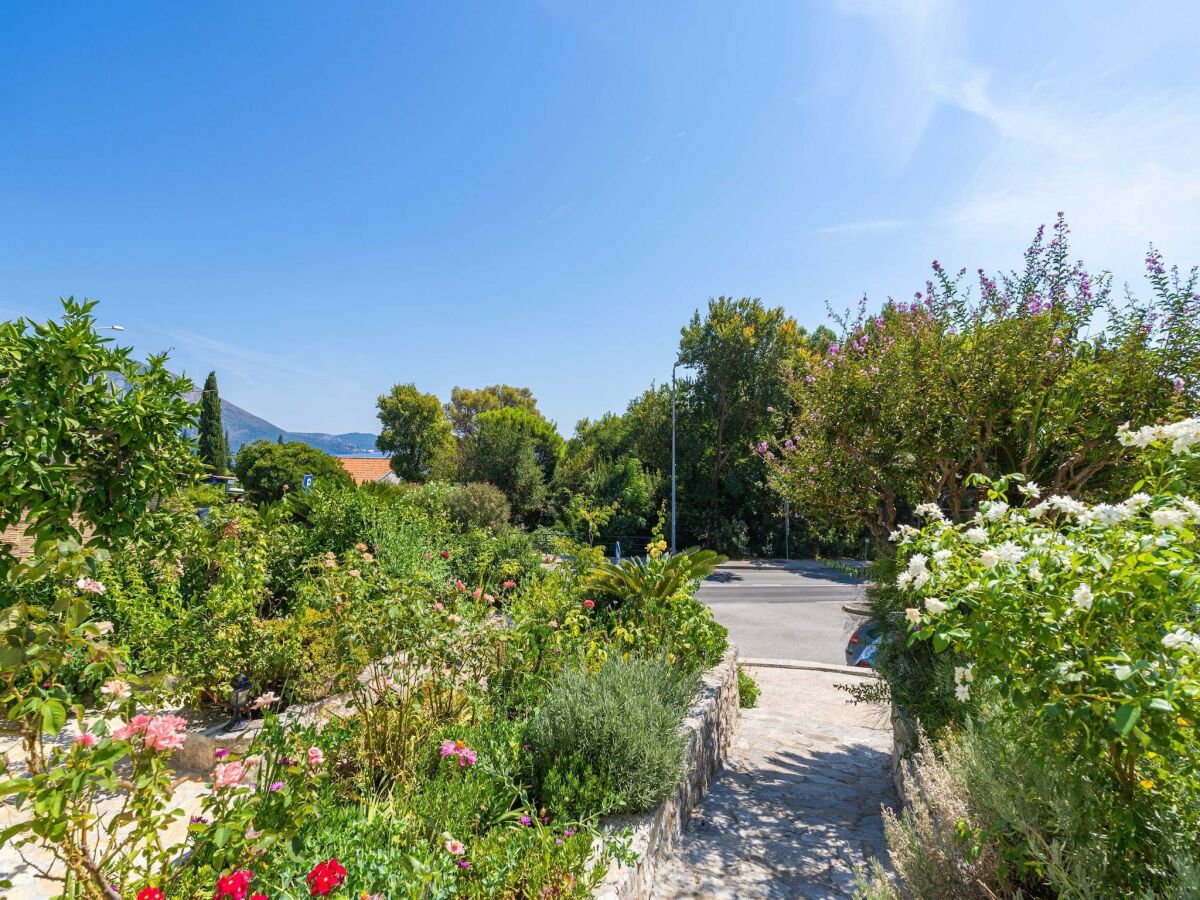 Apartment Apartments Djurkovic - One-Bedroom Apartment with Shared Terrace and Sea View - Outdoor photo 3