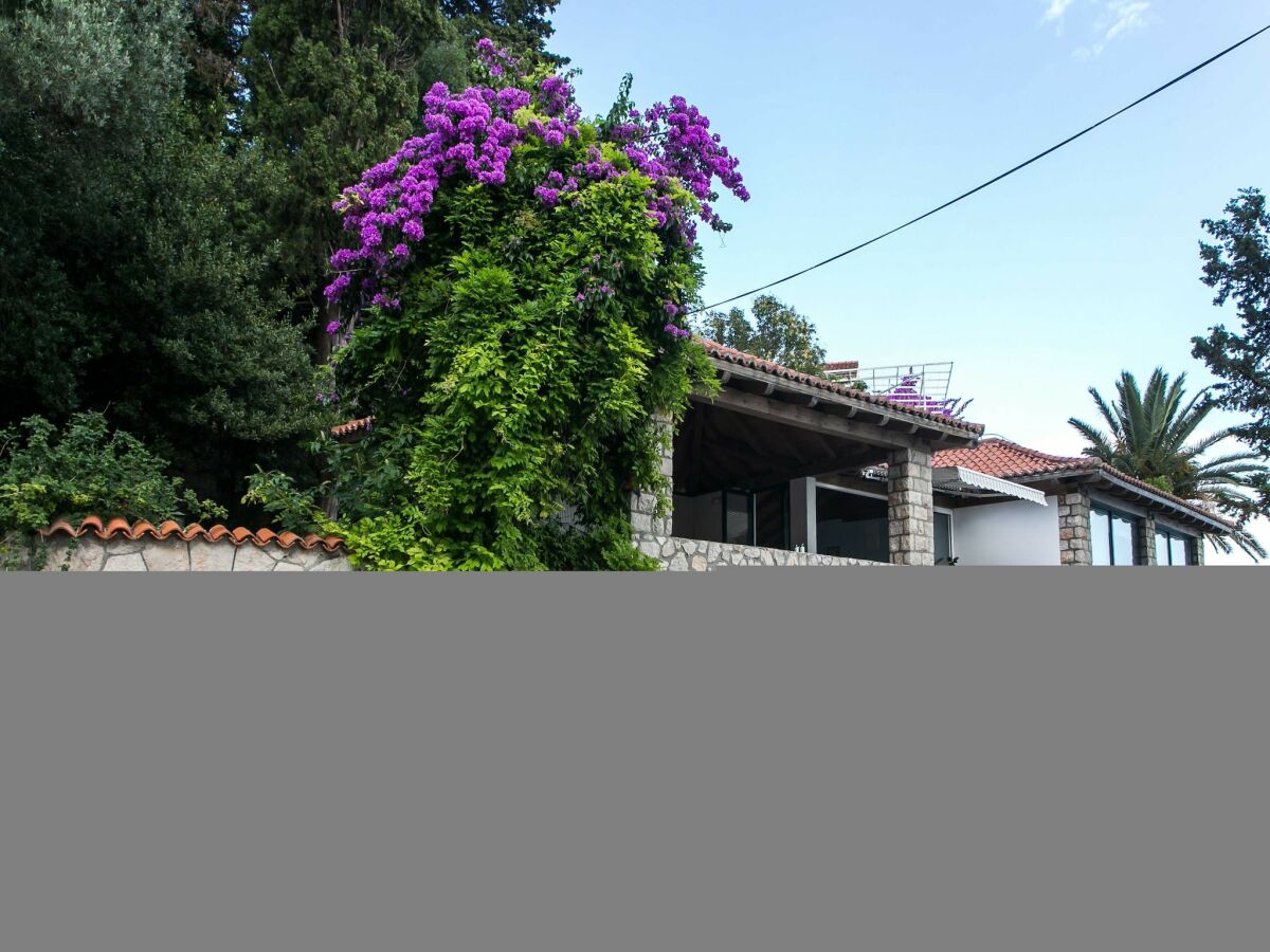 Apartment Villa Mirjana - Standard Studio Apartment with Terrace and Sea View (Lavanda) - Outdoor photo 2