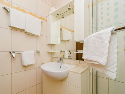 Apartment Hotel Pansion Villa Antonio - Standard Double Room 1 - Features photo 9