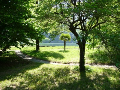 Villa La Gioiosa - Environment photo 19