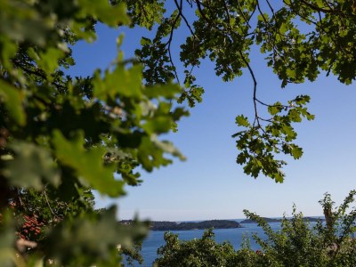 Apartment Villa Dubravka - Premium Studio Apartment with Balcony and Sea View (Apartman 2) - Outdoor photo 32