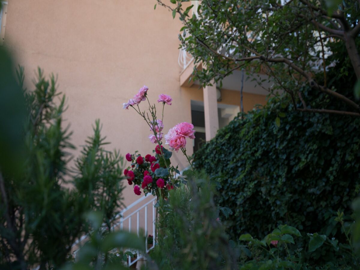 Apartment Villa Dubravka - Superior One Bedroom Apartment with Balcony and Sea View (Apartman 6) - Outdoor photo 5