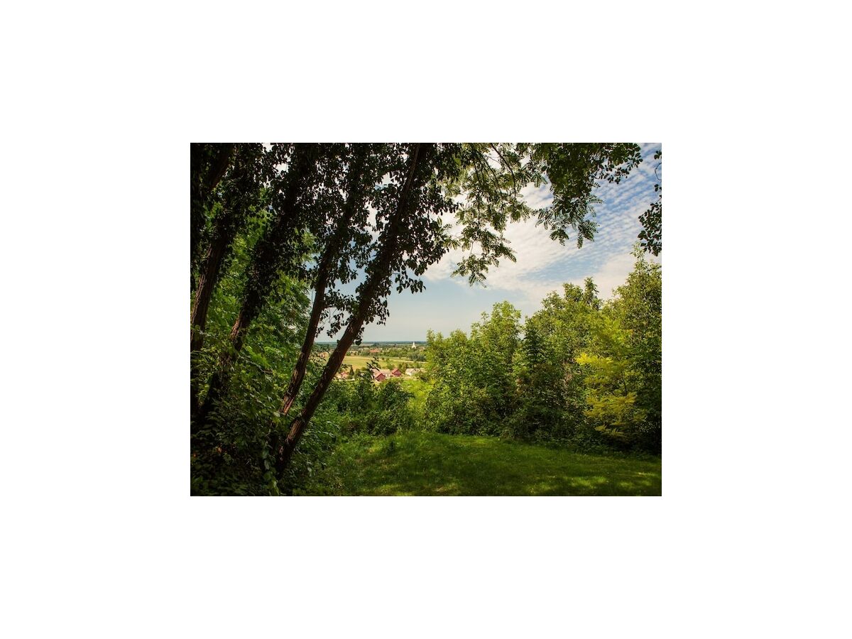 Farmhouse Bauernhaus in Draz f�r 6 Personen - Outdoor photo 4
