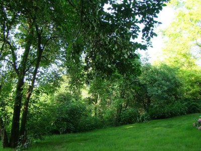 Farmhouse Bauernhaus in Draz f�r 6 Personen - Outdoor photo 7