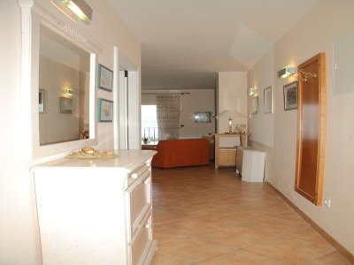Apartment Villa Alegria Cavtat - One Bedroom Apartment with Balcony and Sea View (Apartment A) - Outdoor photo 11