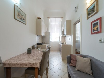 Apartment Apartment Old Writer - Two Bedroom Apartment with City View - Features photo 6
