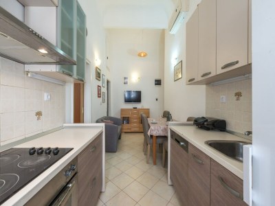 Apartment Apartment Old Writer - Two Bedroom Apartment with City View - Features photo 7