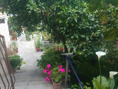 Apartment Villa Peragić - Triple Room with Balcony and Private External Bathroom - Outdoor photo 9