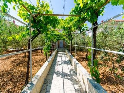 Apartment Apartments Ivana (TR) - One Bedroom Apartment with Terrace (A3) - Outdoor photo 3