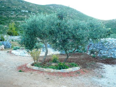Holiday house Lavender Cottage-Two Bedroom  Holiday Cottage  with Terrace - Outdoor photo 5