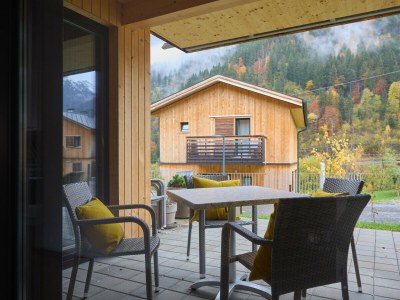 Apartment Montan with loggia and terrace 4612a in Bludenz - Apartment
