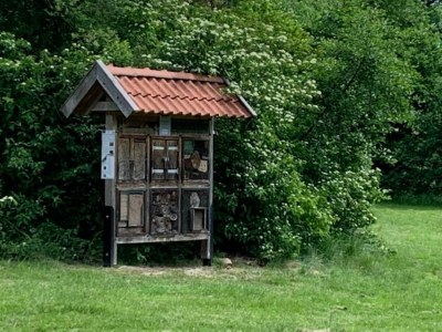 Holiday apartment "Oldau's Little Nest" - Environment photo 38