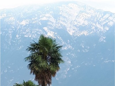 Holiday apartment Villa Carlotta OG - Outdoor photo 13