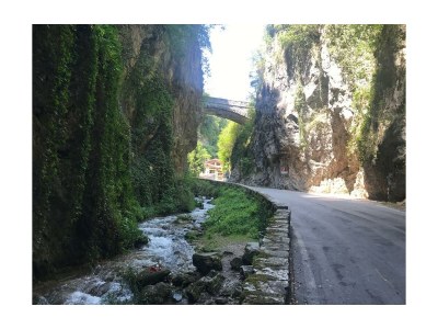 Holiday apartment Villa Carlotta OG - Environment photo 38