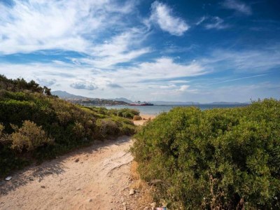 Apartment Apartment in Rafina with Garden & BBQ - Environment photo 37