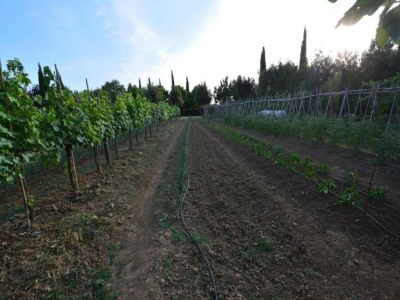 Farmhouse Bauernhaus in Paciano mit Pool & Aussicht - Environment photo 25