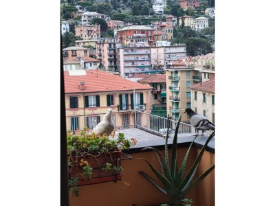 Holiday apartment Casa dell'arte - Outdoor photo 4