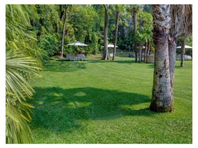 Holiday apartment Rambaldi Apartments Ed. 6 - Outdoor photo 6