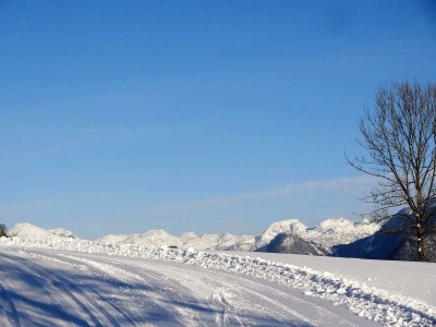 Holiday apartment Ferienwohnung Dachstein in Bad Aussee - Holiday apartment