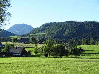 Holiday apartment Ferienwohnung Dachstein - Outdoor photo 11