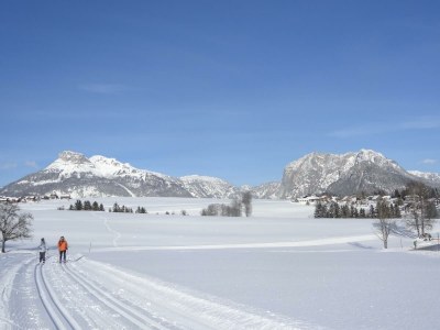 Holiday apartment Ferienwohnung Dachstein - Outdoor photo 46