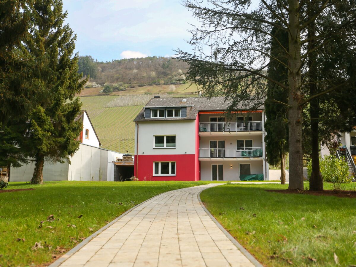 Apartment NECTO I