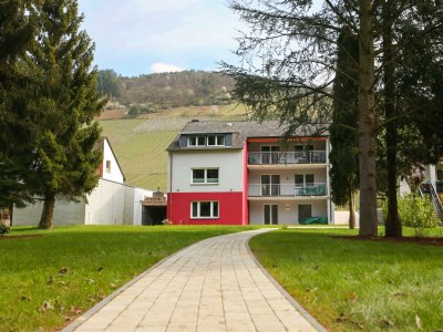 Apartment NECTO III in Traben-Trarbach - Apartment