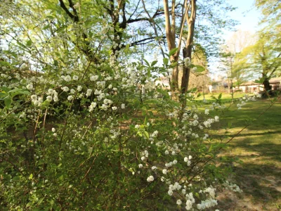 Holiday house Vicinia with garden in the castle - Outdoor photo 23