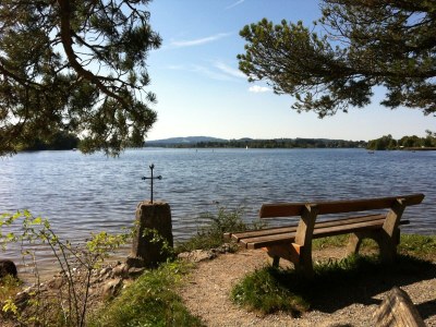 Holiday house Haus zum See - Environment photo 30