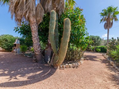 Villa Sa Marina (Marina Des Torrent) - Outdoor photo 14