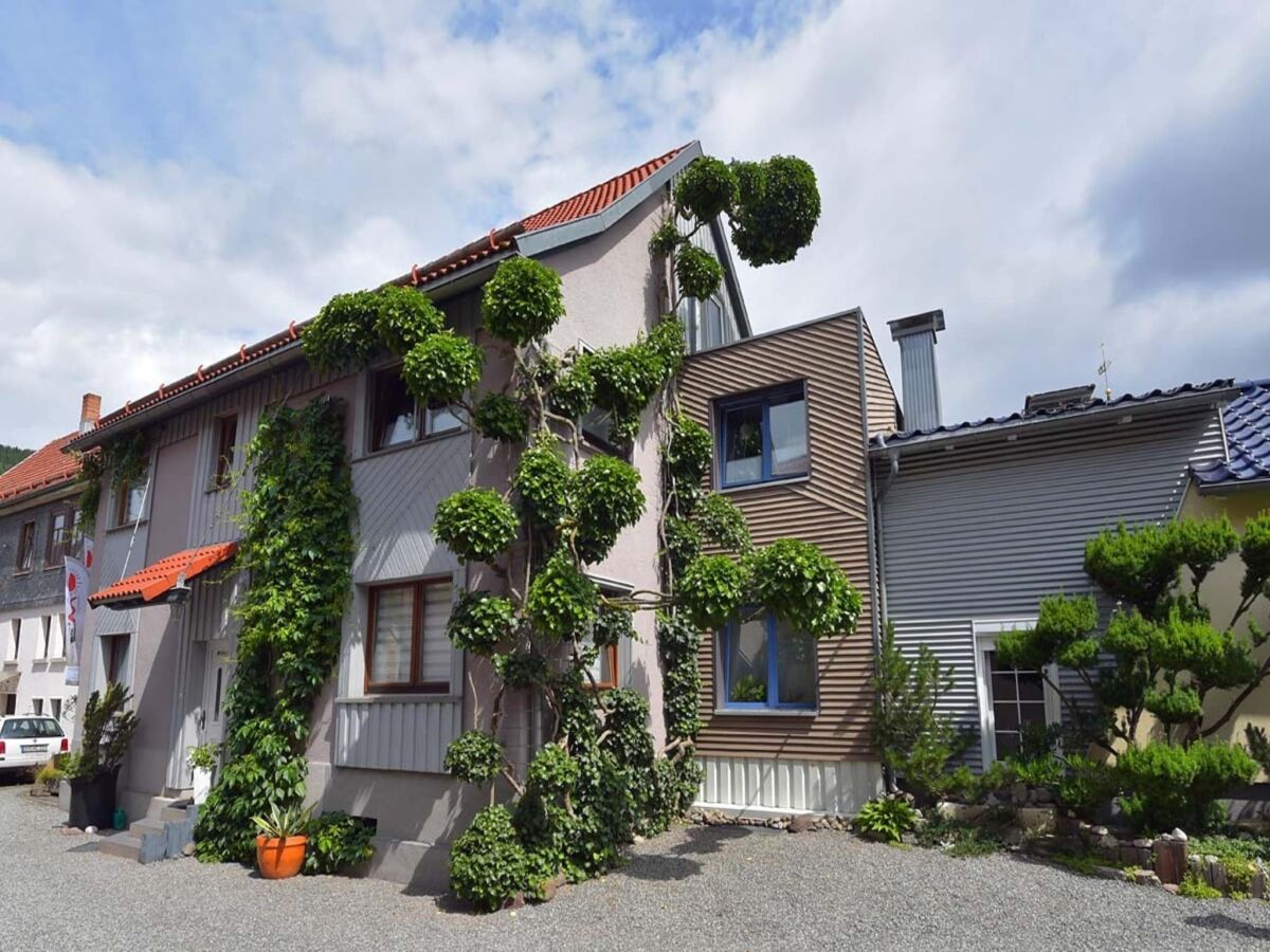 Apartment Wohnung Steinbach nahe Skihalle Oberhof - Outdoor photo 4