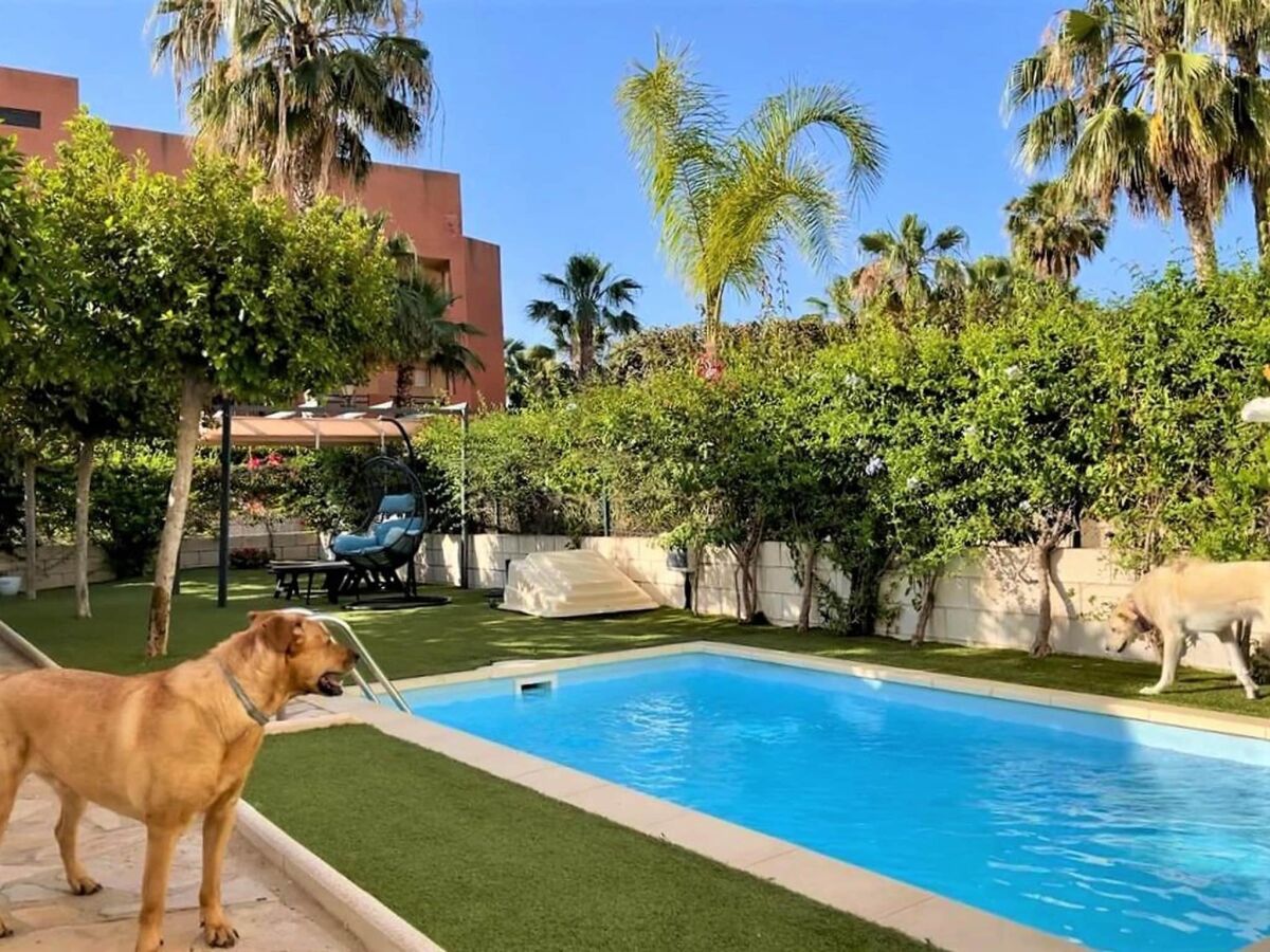 Apartment Apartment with Pool near Garrucha Beach - Outdoor photo 2