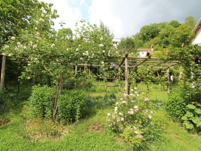 Holiday house Malerisches Ferienhaus in Belluno mit Gemeinschaftsgarten - Outdoor photo 3