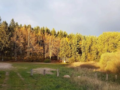 Holiday house 8 person holiday home in Løgstør-By Traum - Outdoor photo 7