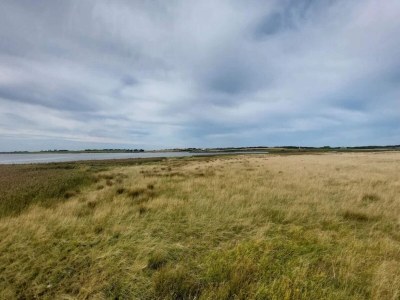 Holiday house 8 person holiday home in Løgstør-By Traum - Outdoor photo 13