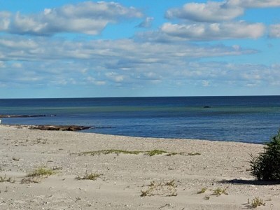 Holiday house Tranquil Beach Retreat - By Traum - Outdoor photo 7