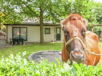 Chalet Chalet in Uden nahe Maashorst, 4 PAX Von Belvilla - Outdoor photo 30