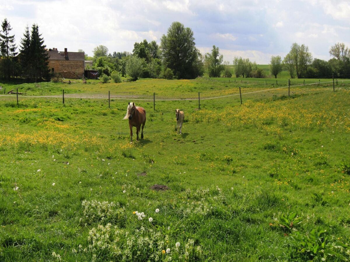 Holiday house Ferienhaus, Zahrensdorf - Outdoor photo 4