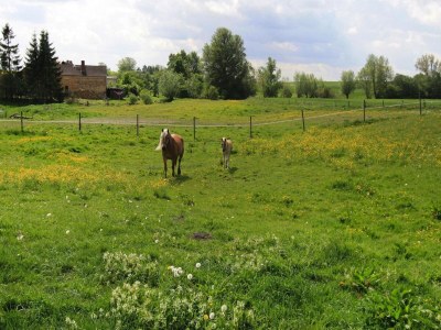 Holiday house Ferienhaus, Zahrensdorf - Outdoor photo 4